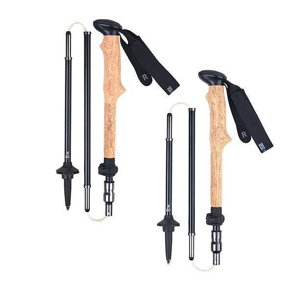 인수스 제트 폴